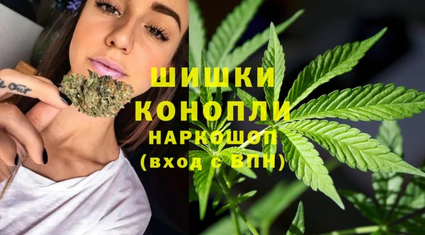 бутират Мегион