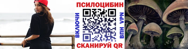 Псилоцибиновые грибы мицелий  купить закладку  Ивангород 